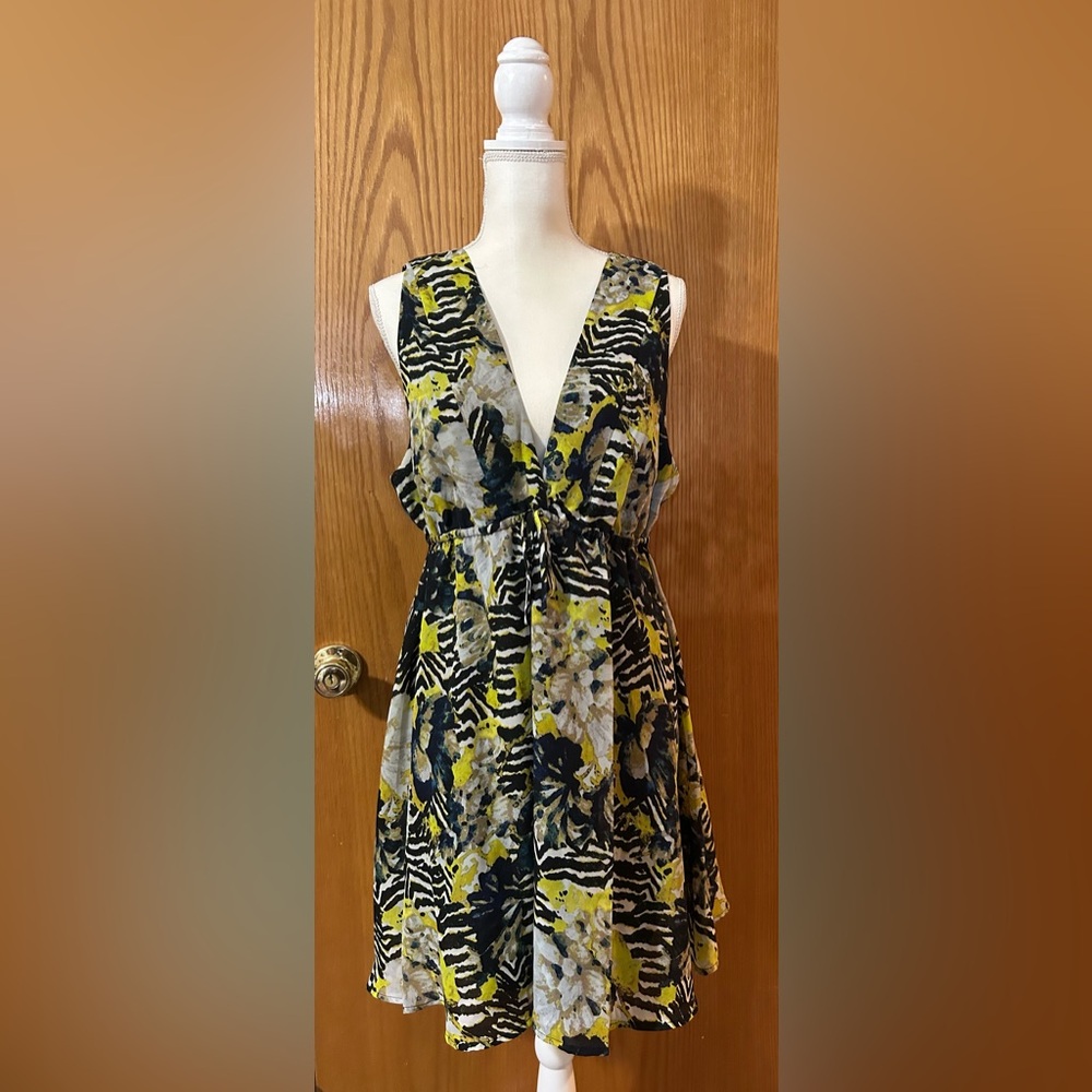 BB Dakota dress - Large